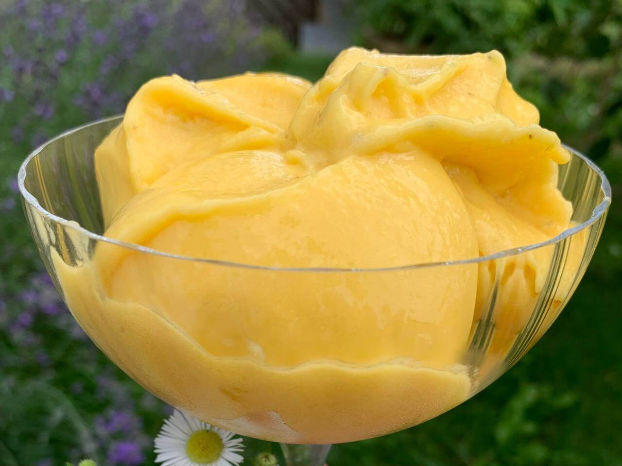 mango ice cream